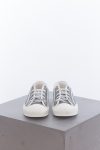 Dior Walk'n'Dior metal grey sneakers