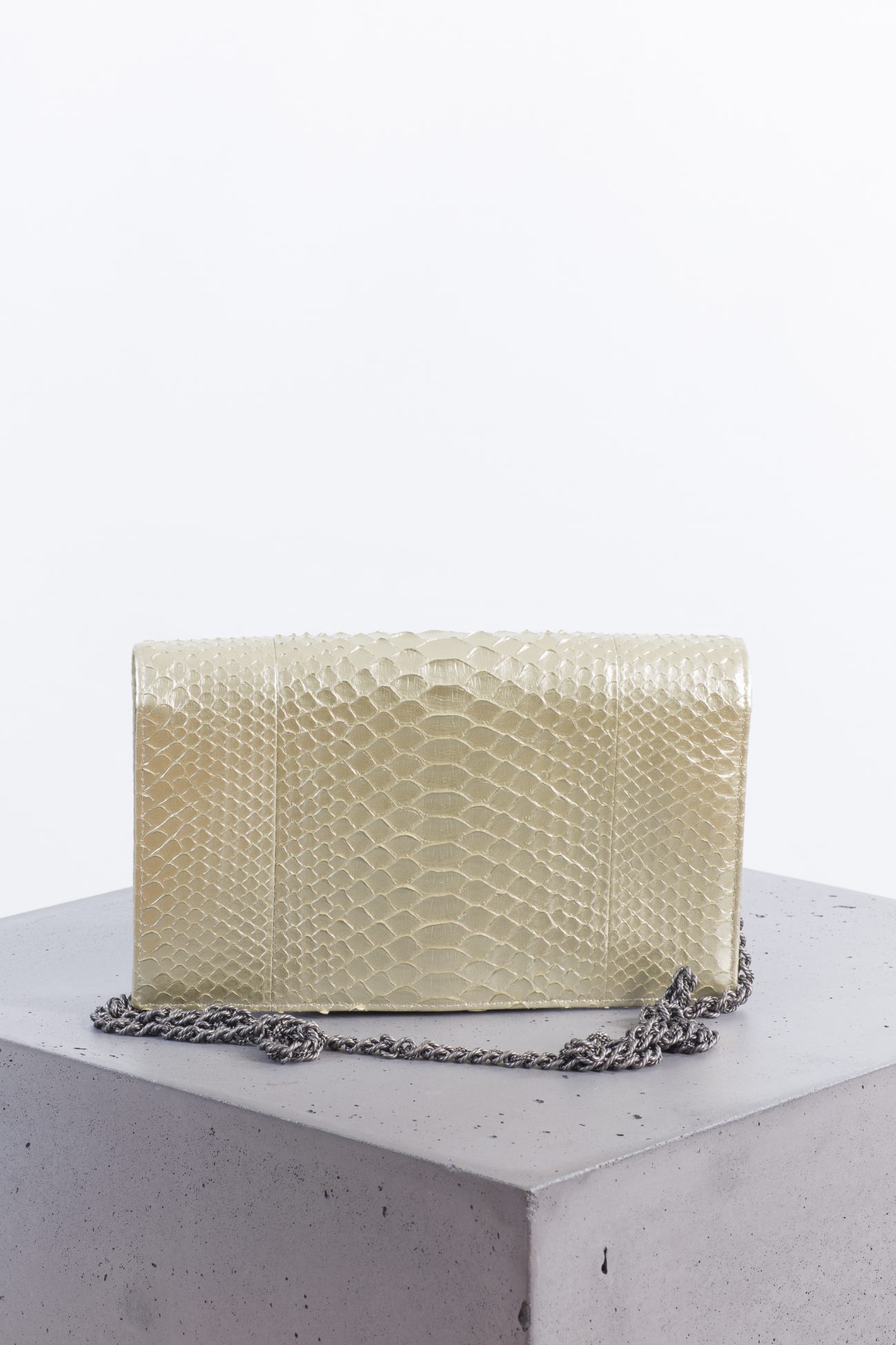 Chanel Python leather pochette from 17A collection