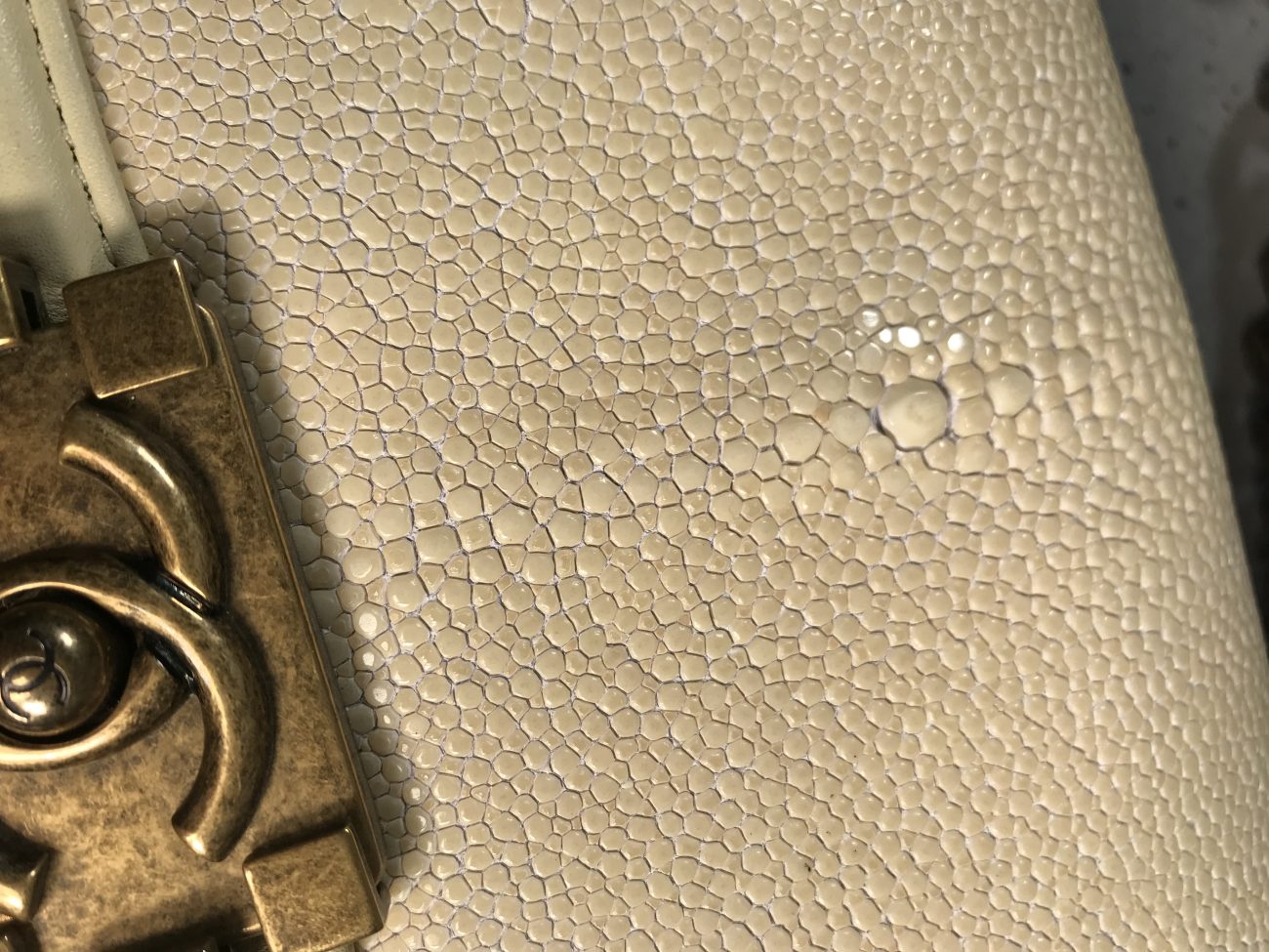 Chanel Galuchat Stingray small Boy flap bag