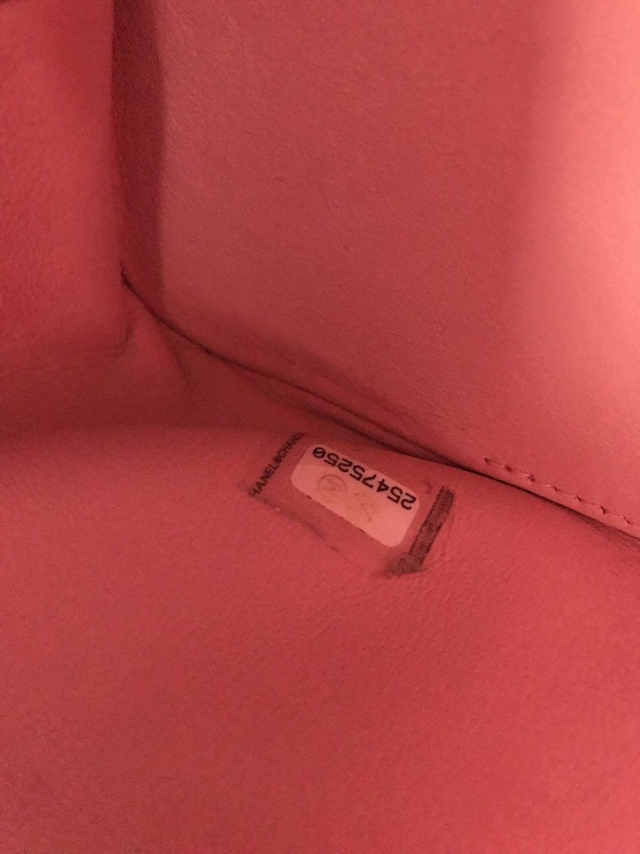 Chanel Python small Gabrielle backpack light pink