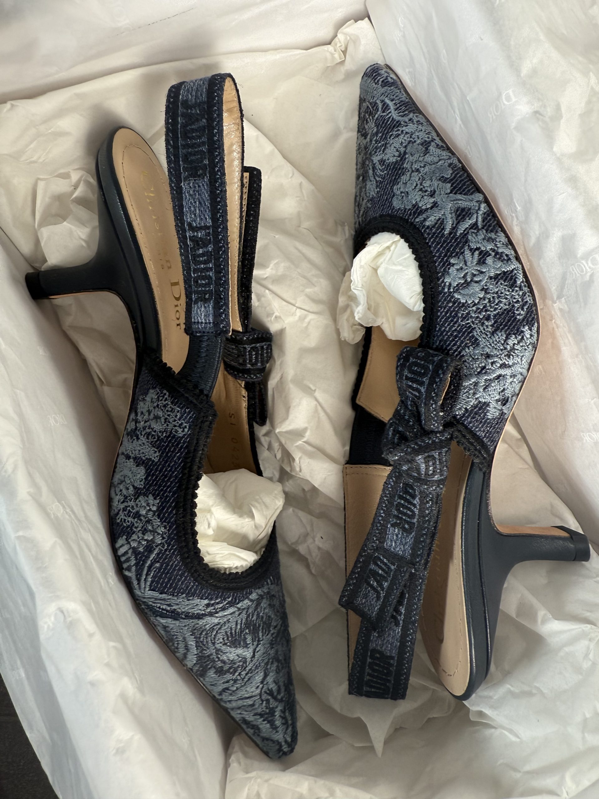 Christian Dior J’Adior Dark-Blue Slingbacks with Light-Blue Botanical Embroidery Christian Dior J’Adior Dark-Blue Slingbacks with Light-Blue Botanical Embroidery