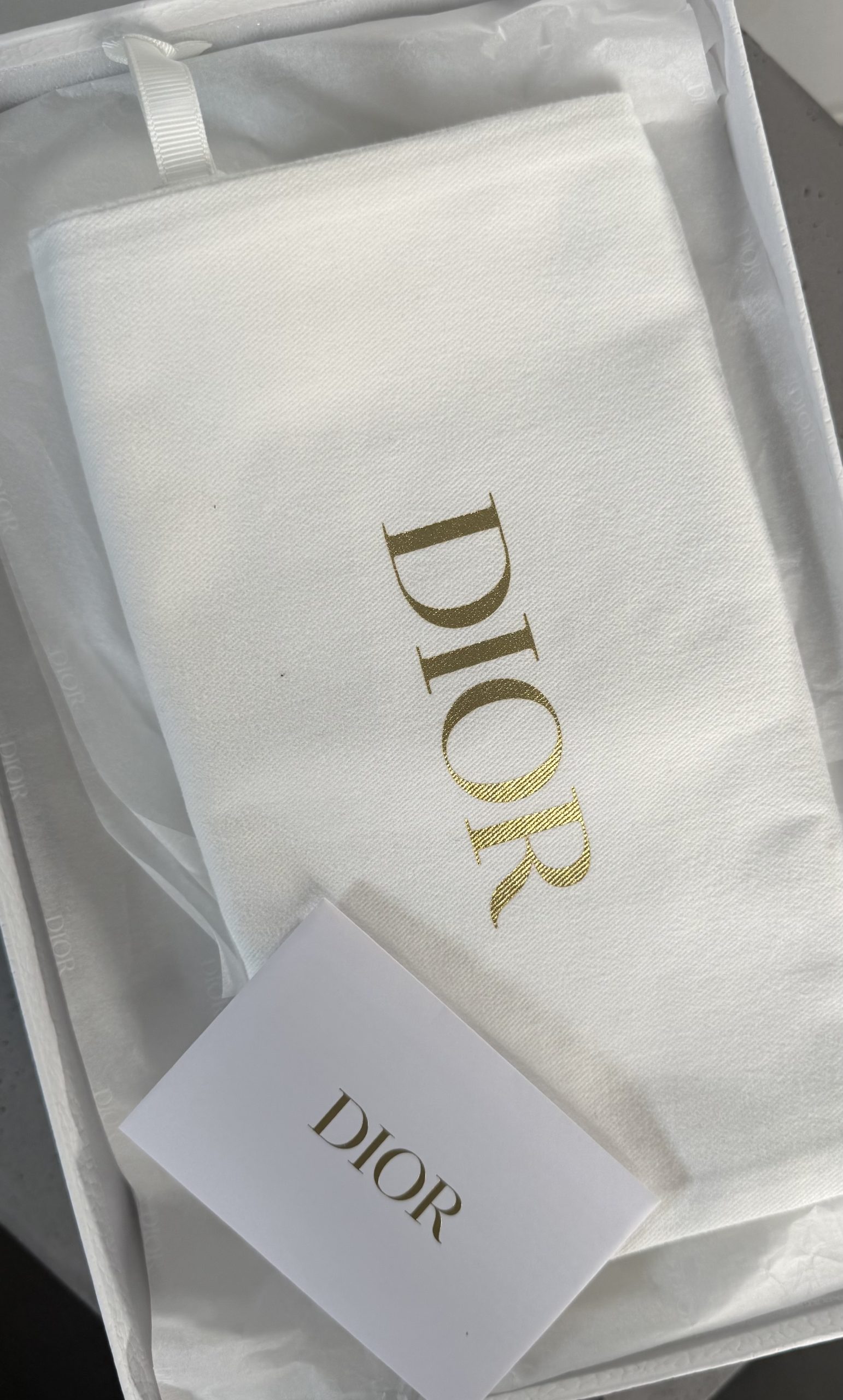 Christian Dior J’Adior Dark-Blue Slingbacks with Light-Blue Botanical Embroidery Christian Dior J’Adior Dark-Blue Slingbacks with Light-Blue Botanical Embroidery