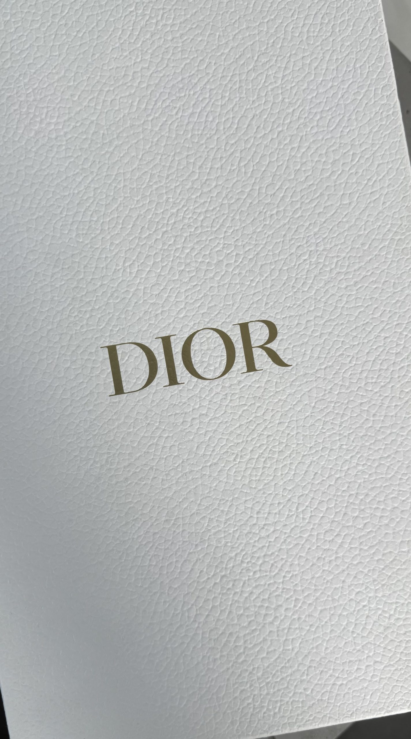 Christian Dior J’Adior Dark-Blue Slingbacks with Light-Blue Botanical Embroidery Christian Dior J’Adior Dark-Blue Slingbacks with Light-Blue Botanical Embroidery